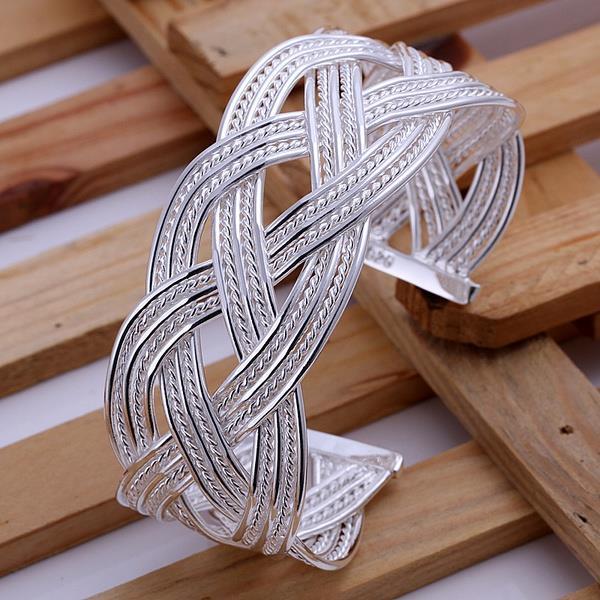 Double Twist Bangle - (S925) Silver Plated